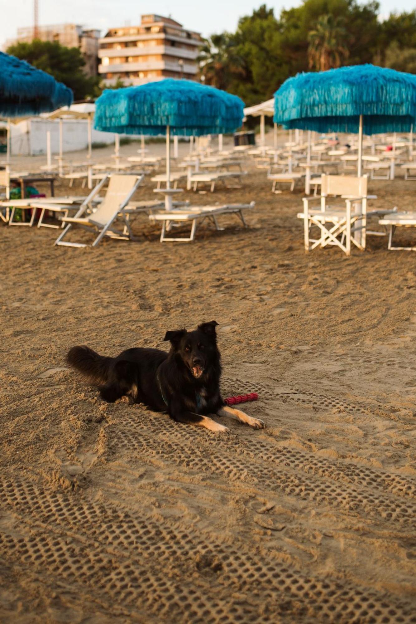 Hotel Antagos Montesilvano Marina 외부 사진